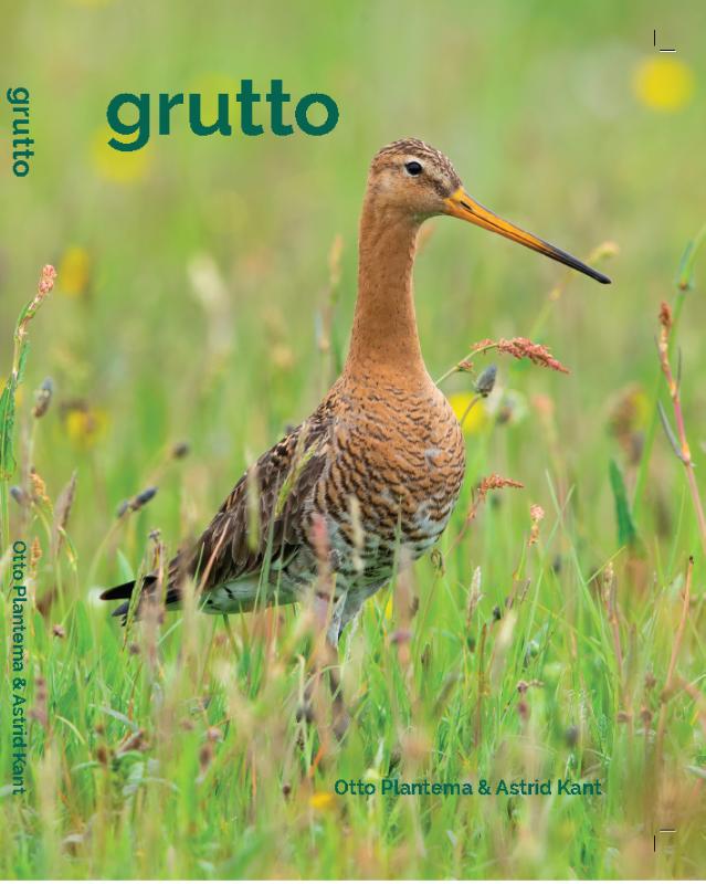 Omslag van Grutto