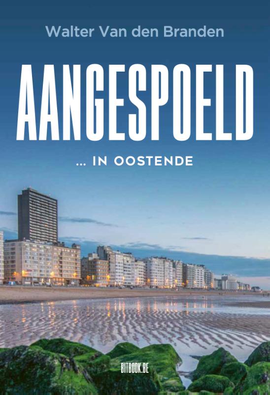 Omslag van Aangespoeld