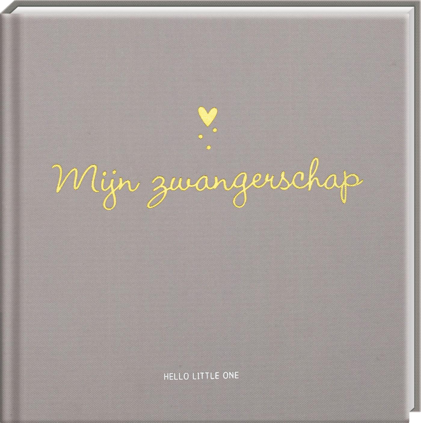 Omslag van Baby invulboeken - Mijn zwangerschap