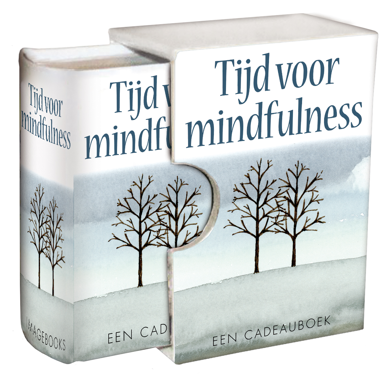 Omslag van Perfecte boek cadeautje - Tijd voor mindfulness