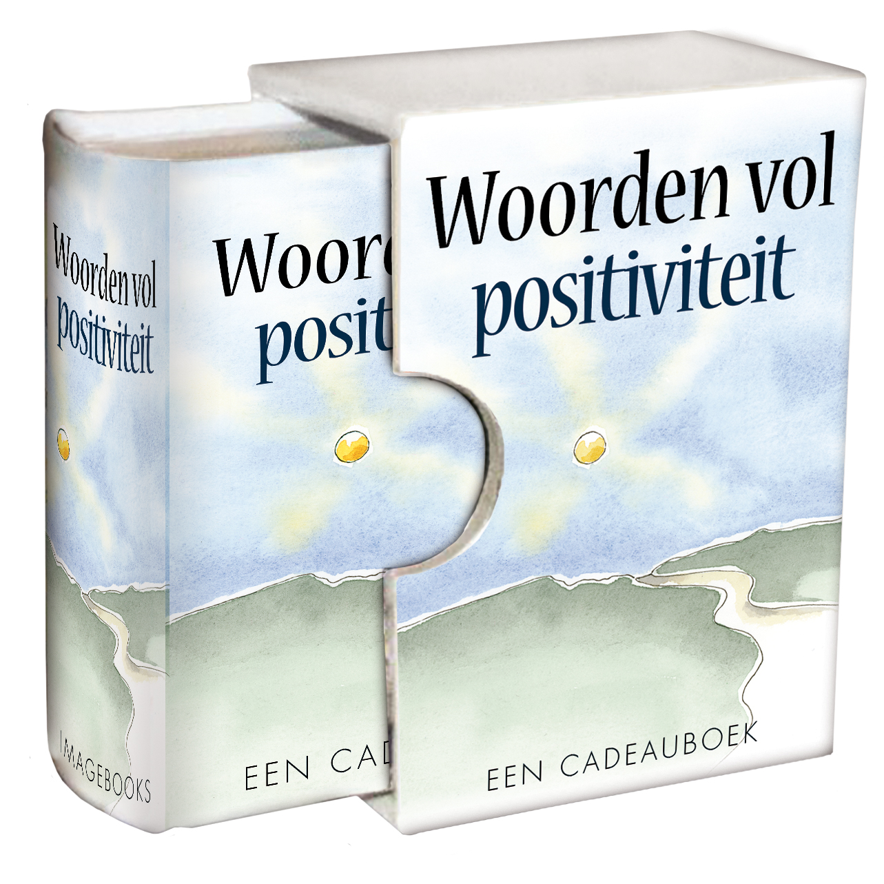 Omslag van Perfecte boek cadeautje - Woorden vol positiviteit