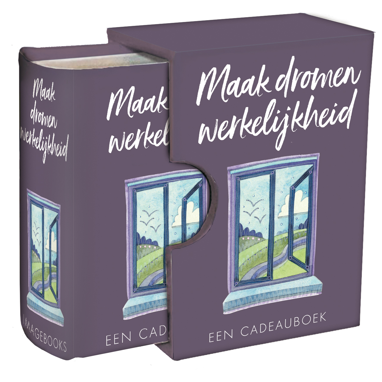 Omslag van Perfecte boek cadeautje - Maak dromen werkelijkheid