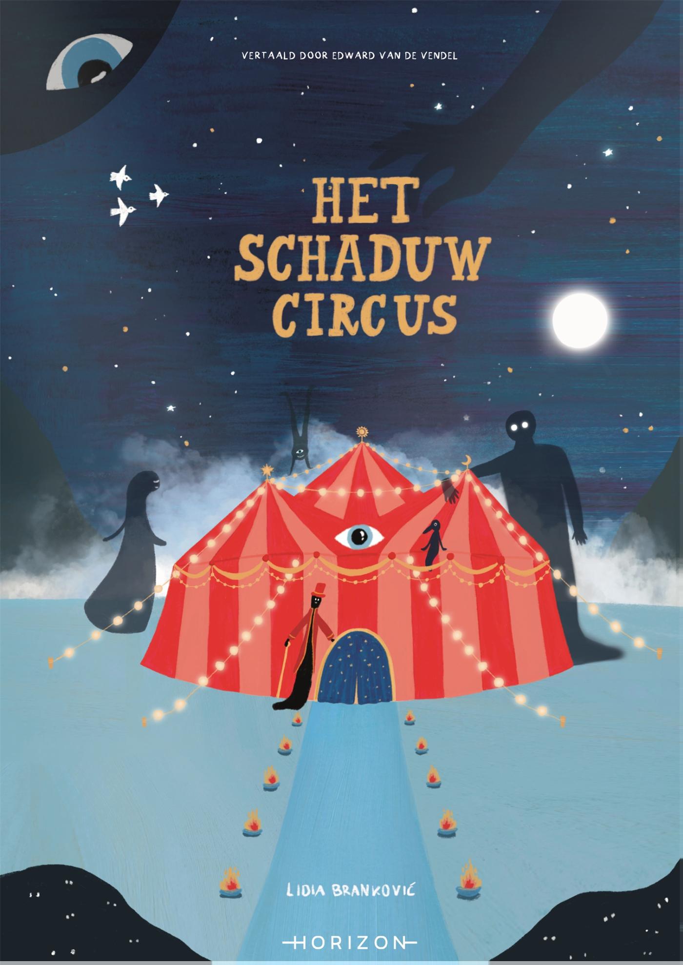 Omslag van Het schaduwcircus