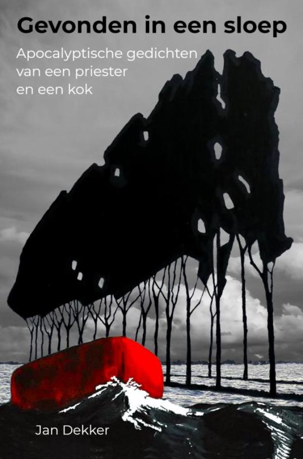 Omslag van Gevonden in een sloep