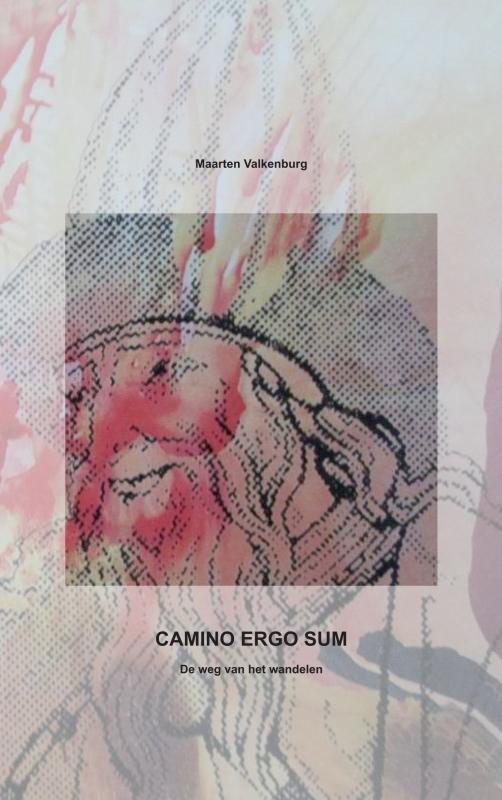 Omslag van CAMINO ERGO SUM