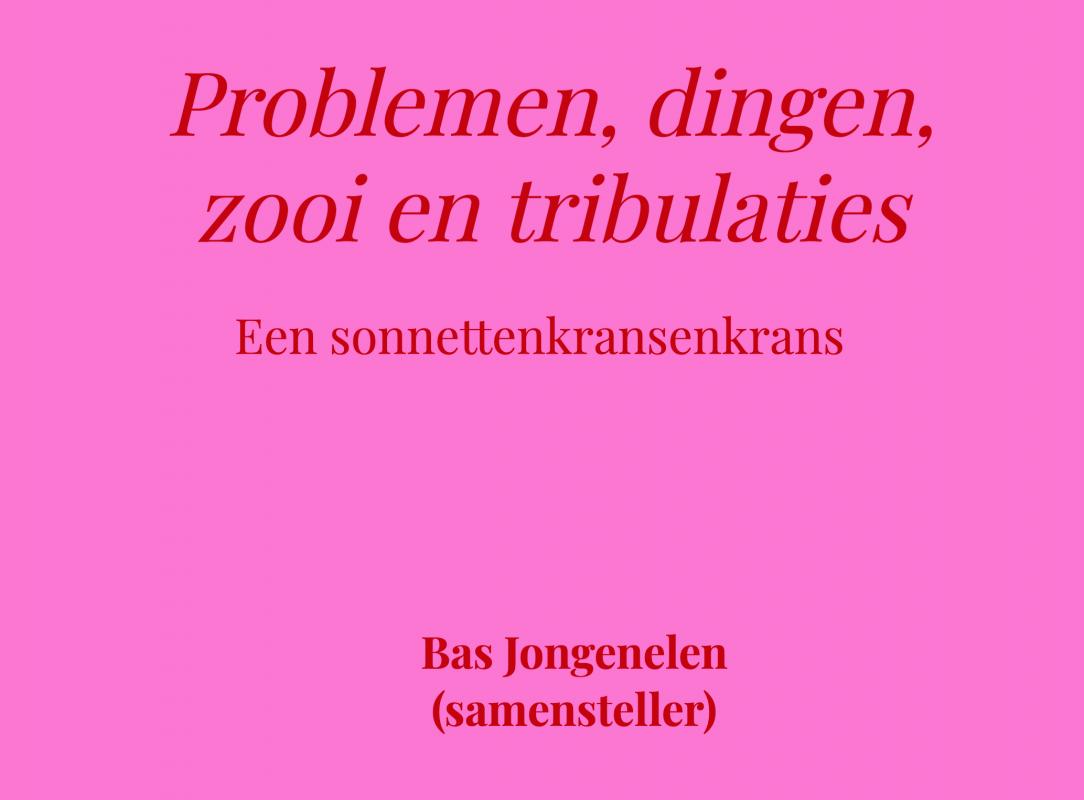 Omslag van Problemen, dingen, zooi en tribulaties