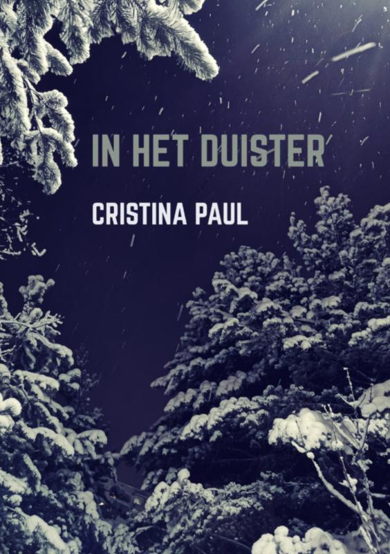 Omslag van In het duister