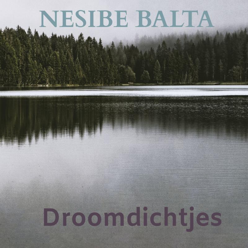 Omslag van Droomdichtjes