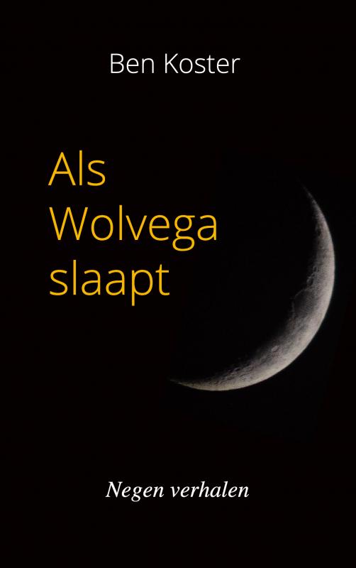 Omslag van Als Wolvega slaapt