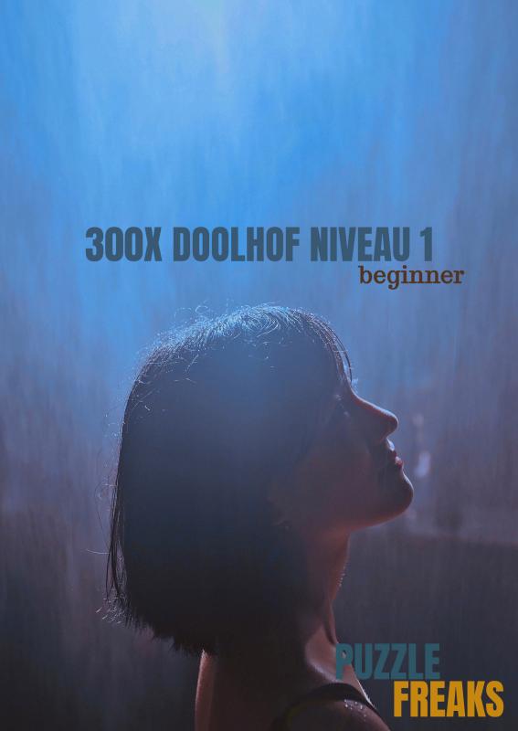 Omslag van 300X DOOLHOF NIVEAU 1