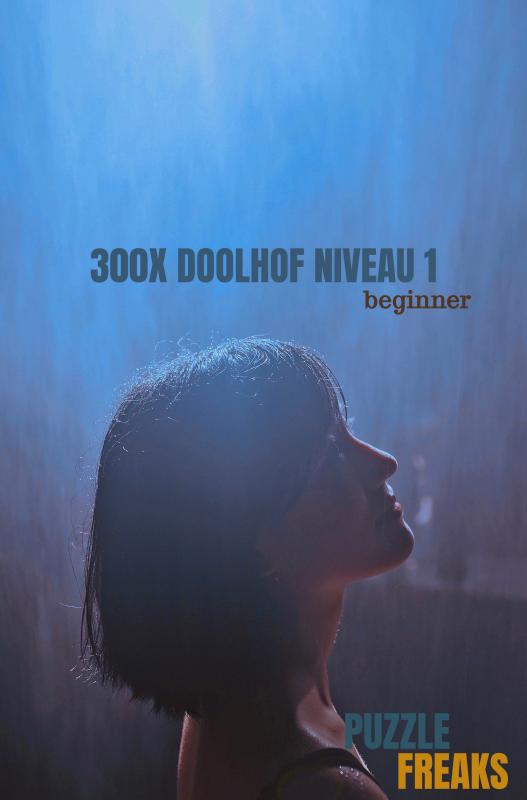 Omslag van 300X DOOLHOF NIVEAU 1