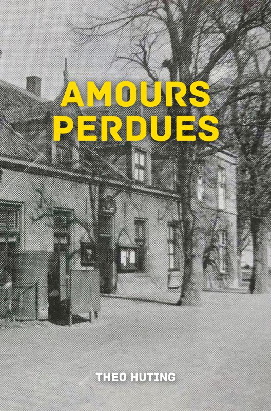 Omslag van AMOURS PERDUES