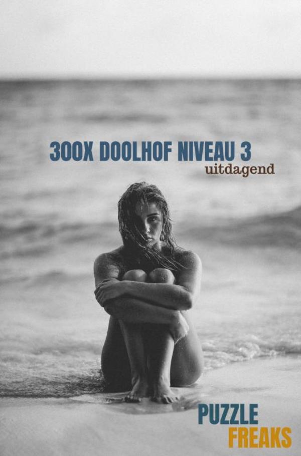 Omslag van 300X DOOLHOF NIVEAU 3