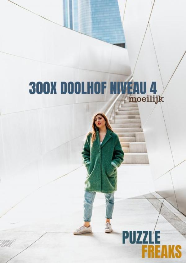 Omslag van 300X DOOLHOF NIVEAU 4