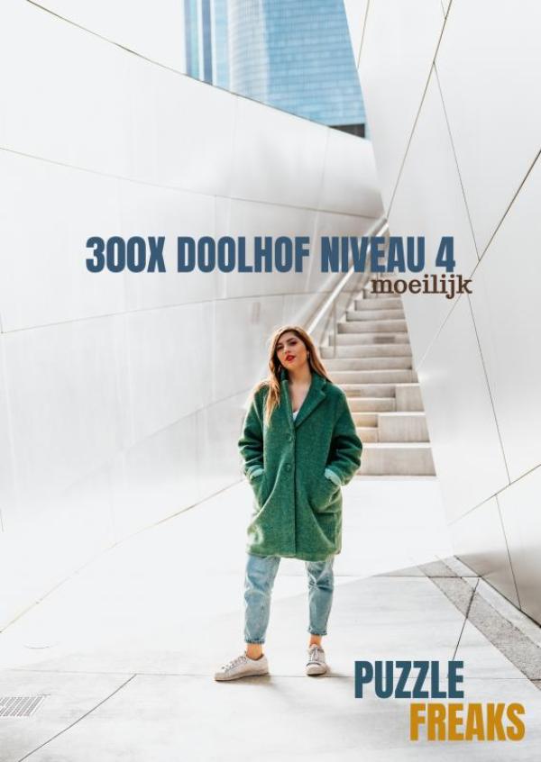 Omslag van 300X DOOLHOF NIVEAU 4