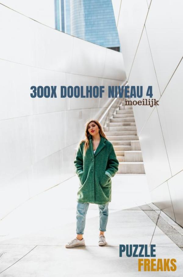 Omslag van 300X DOOLHOF NIVEAU 4