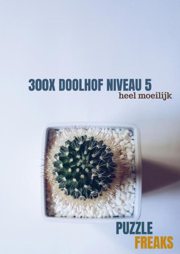 Omslag van 300X DOOLHOF NIVEAU 5