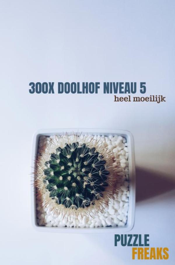 Omslag van 300X DOOLHOF NIVEAU 5