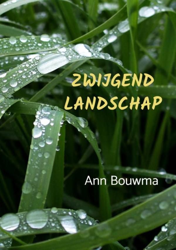 Omslag van Zwijgend landschap