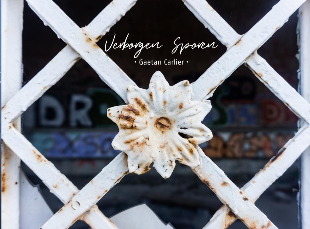 Omslag van Verborgen Sporen