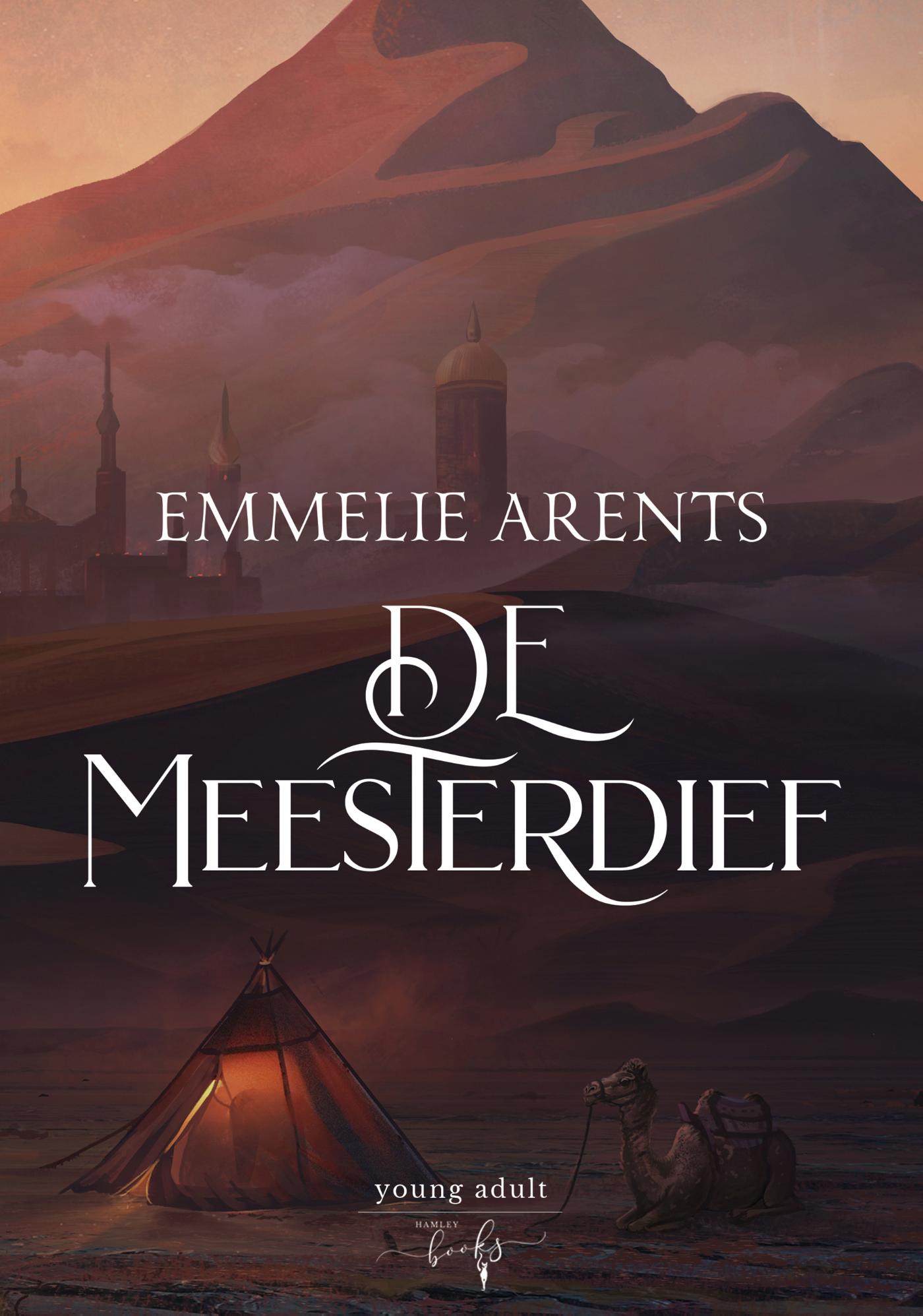 Omslag van De Meesterdief
