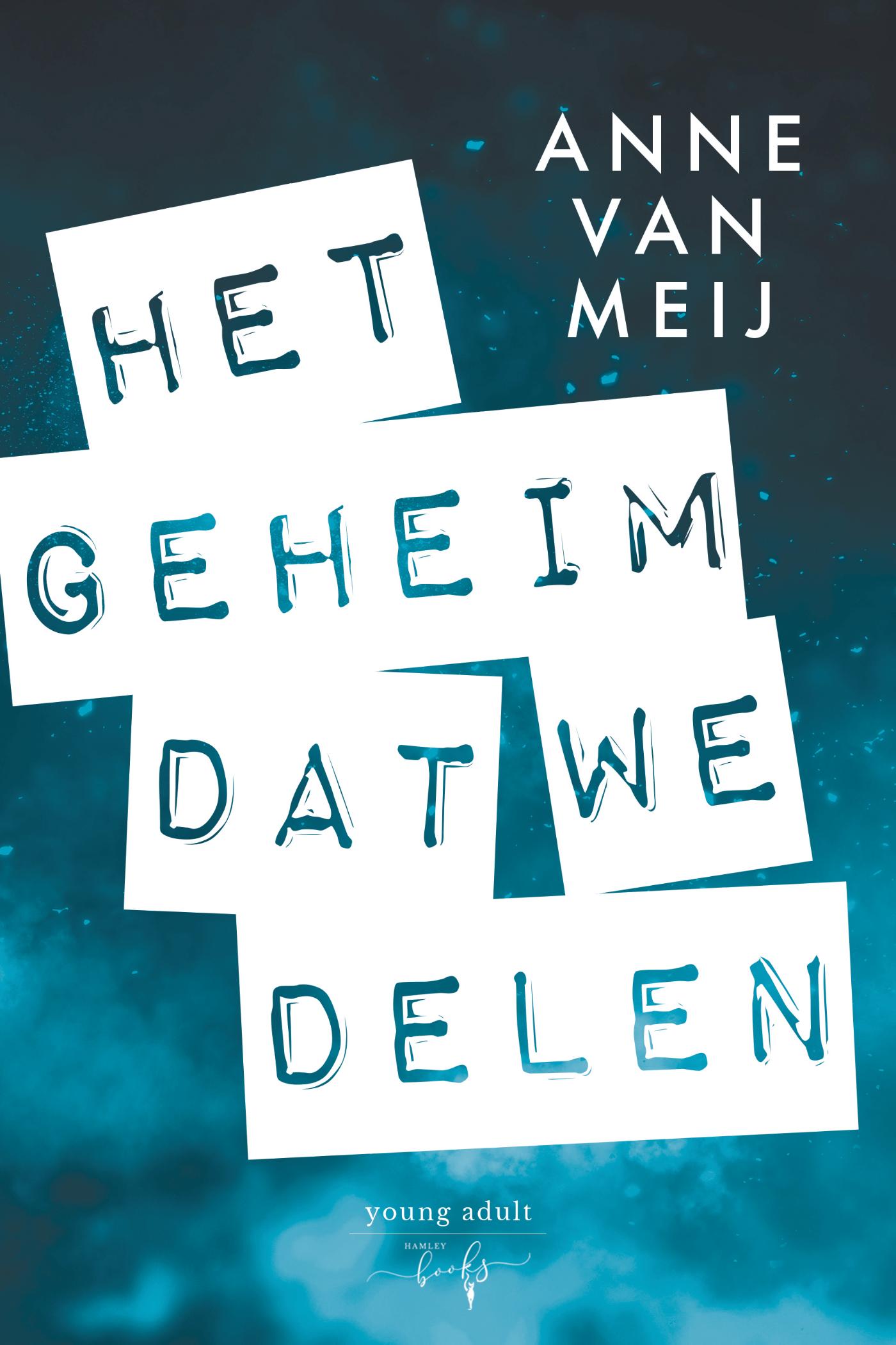 Omslag van Het geheim dat we delen
