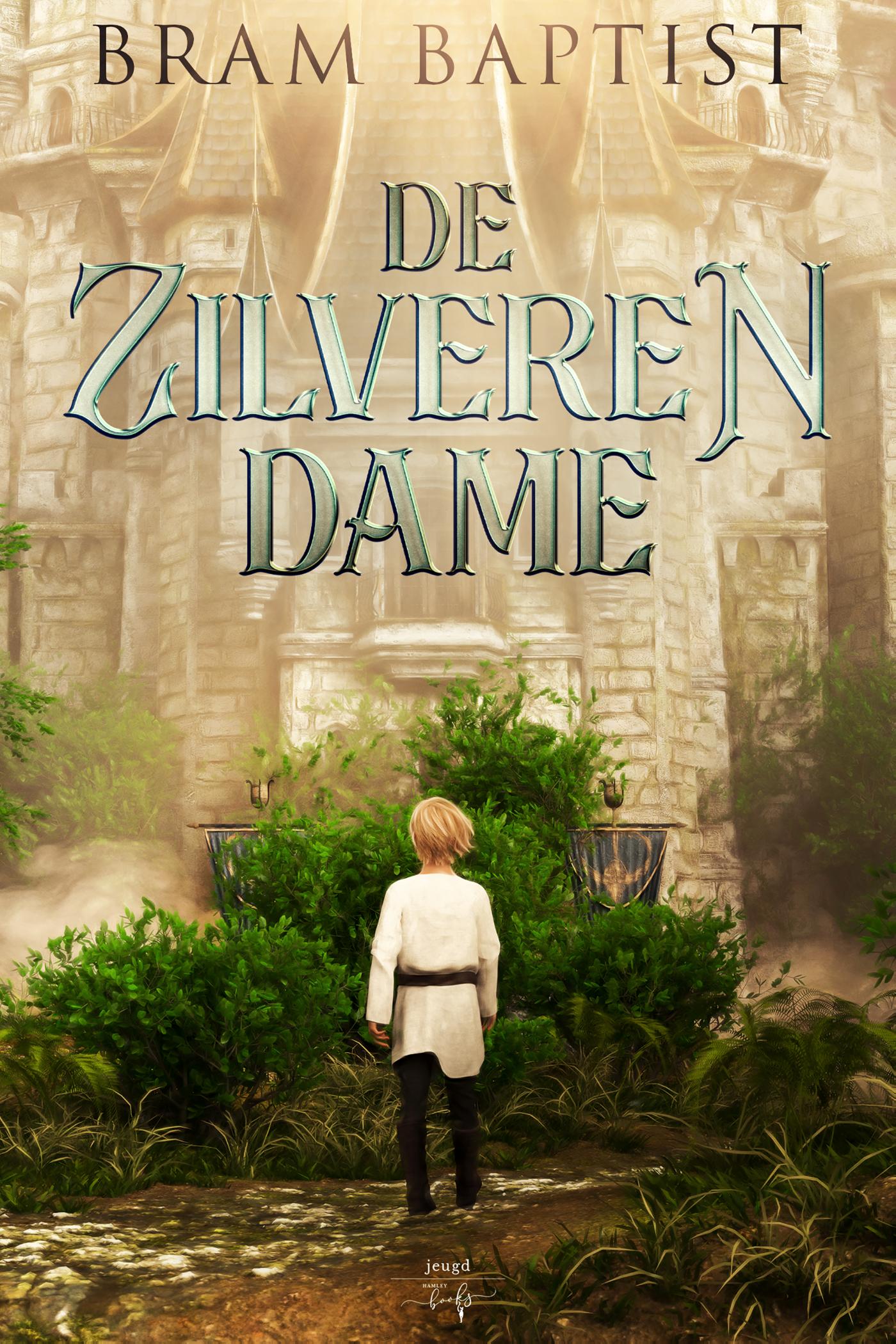 Omslag van De Zilveren Dame