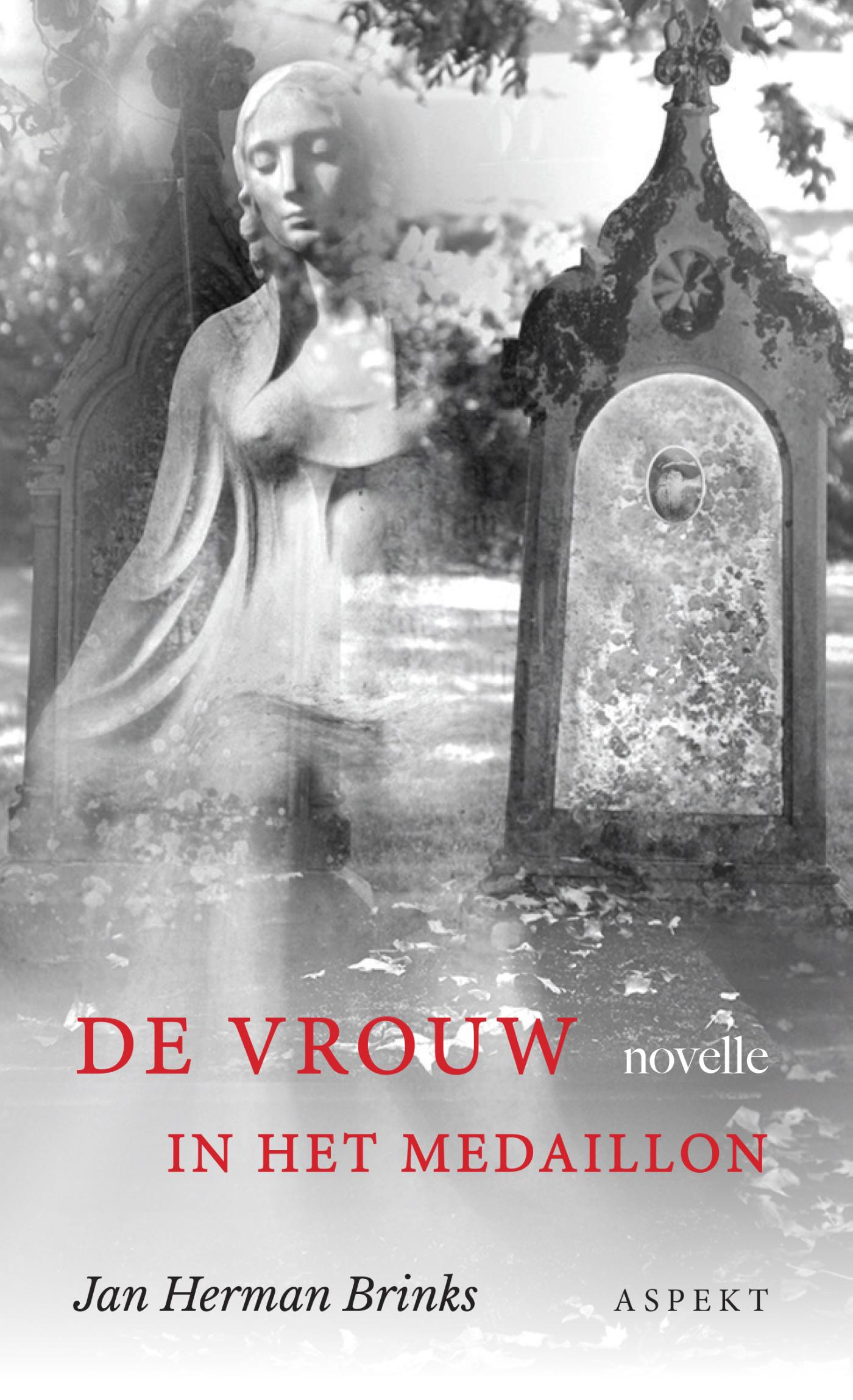 Omslag van De vrouw in het medaillon