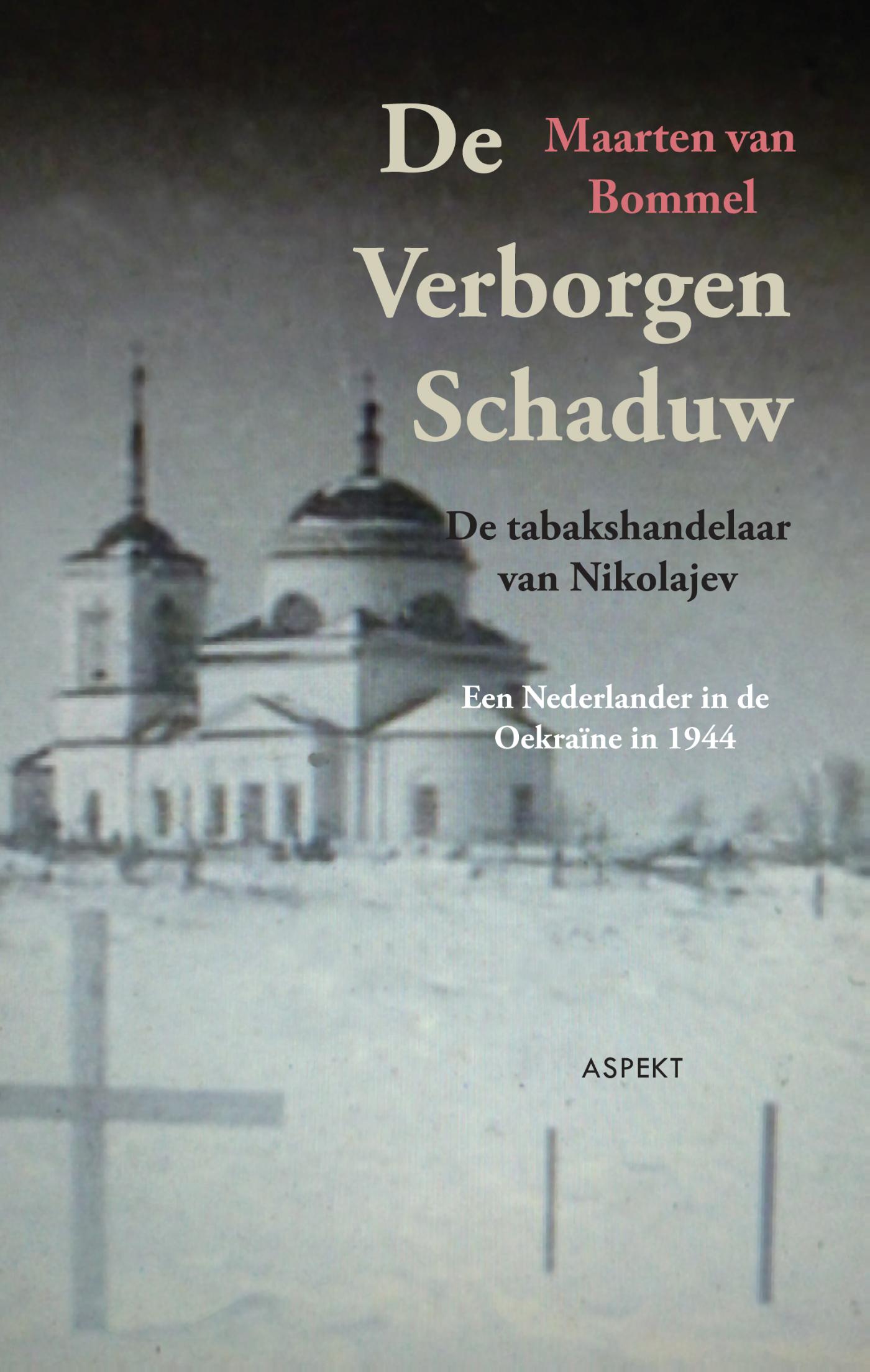 Omslag van De verborgen schaduw