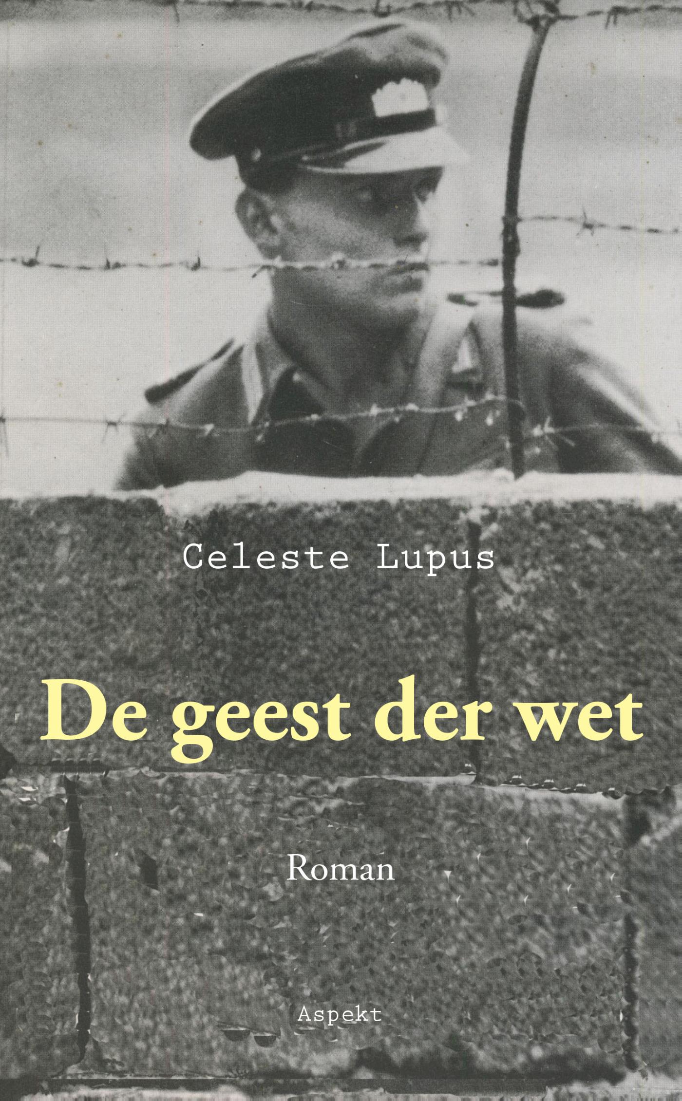 Omslag van De geest der wet