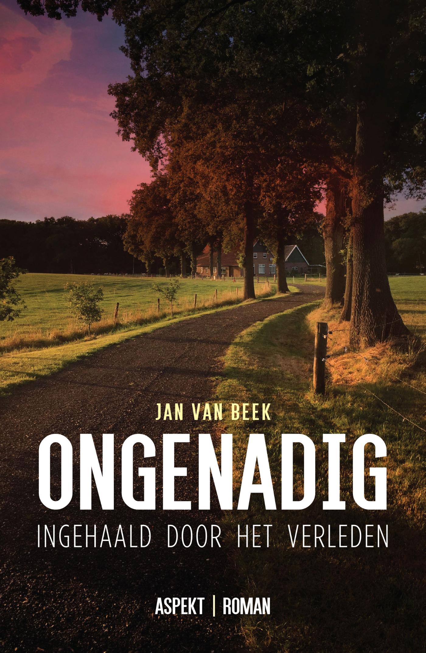 Omslag van Ongenadig