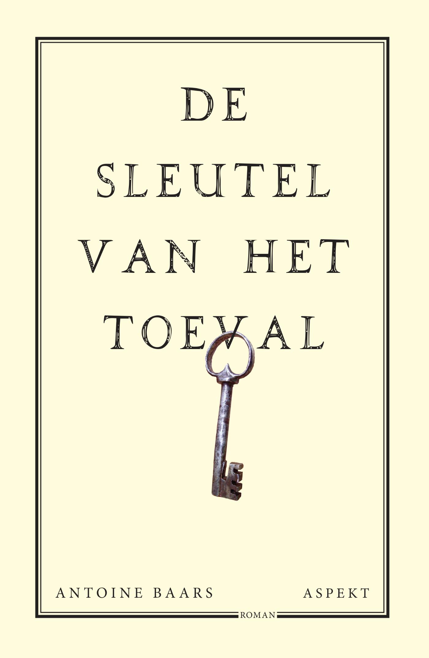 Omslag van De sleutel van het toeval