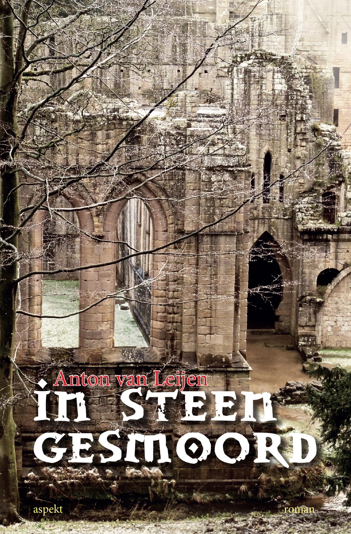 Omslag van In steen gesmoord