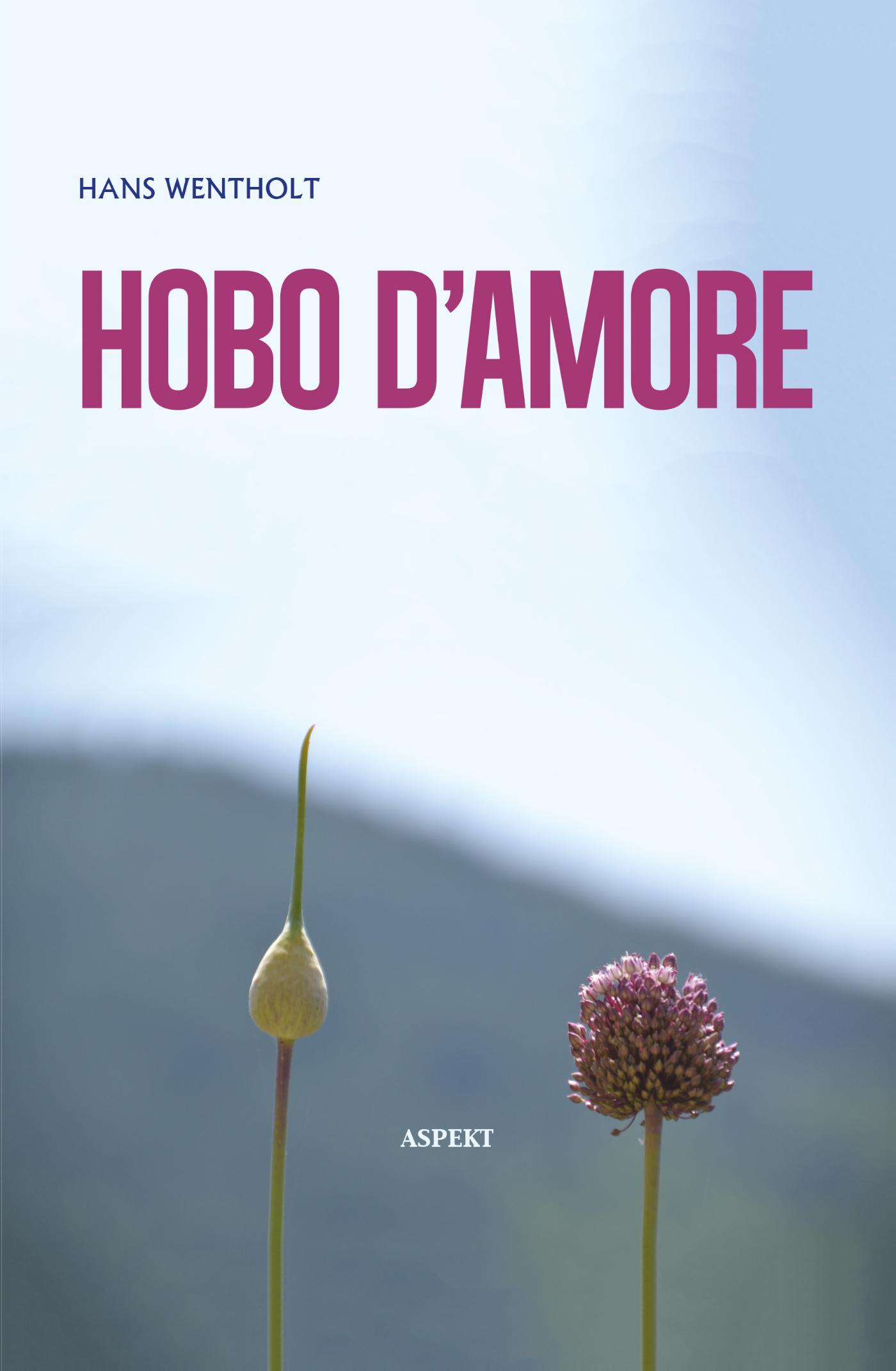 Omslag van Hobo d'amore