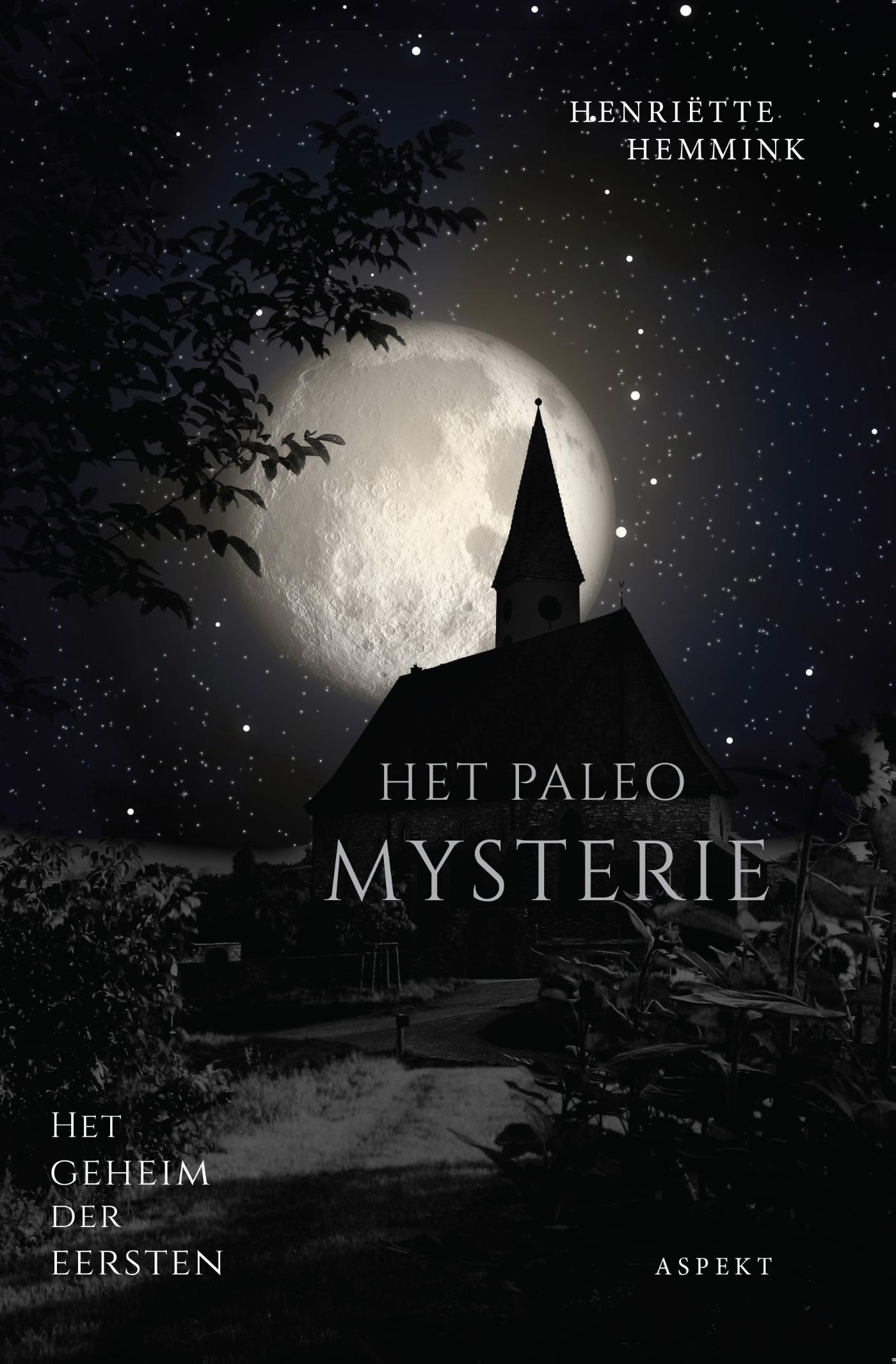 Omslag van Het paleo mysterie