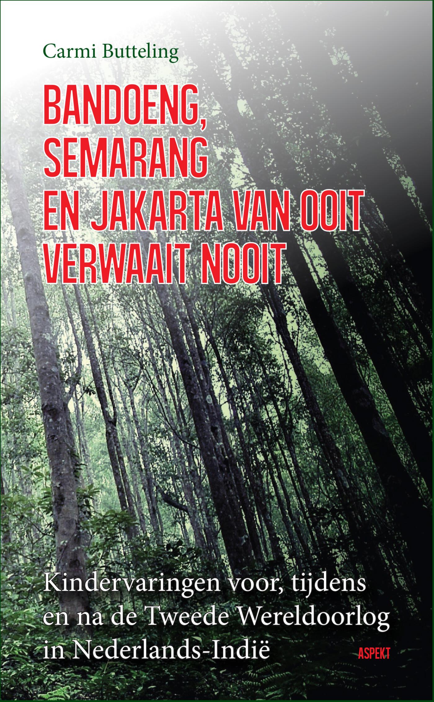 Omslag van Bandoeng, Semarang en Jakarta van ooit verwaait nooit