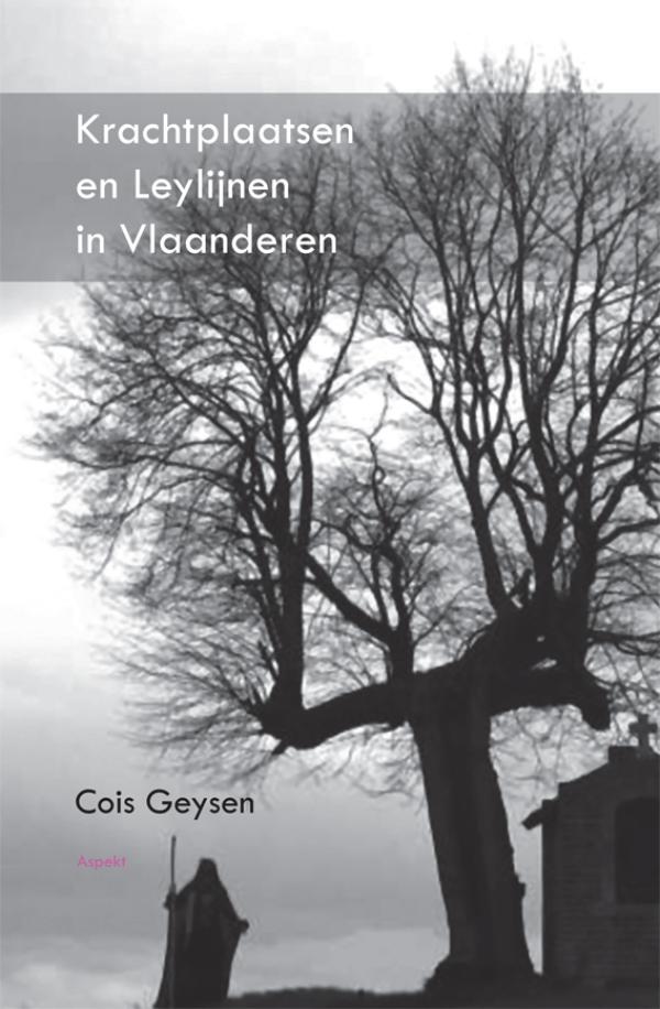 Omslag van Krachtplaatsen en leylijnen in Vlaanderen