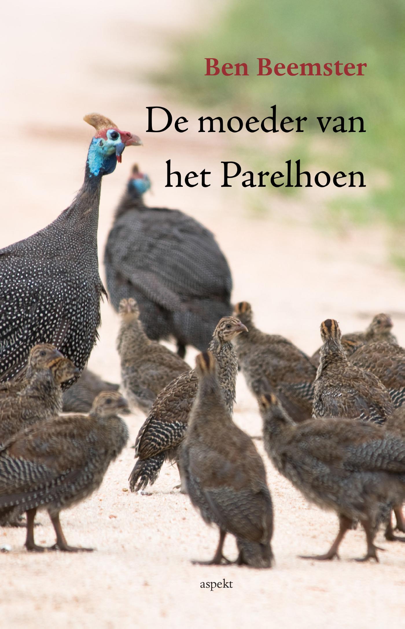 Omslag van De moeder van het parelhoen