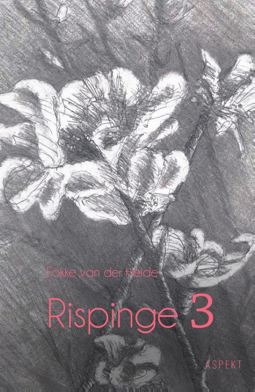 Omslag van 3