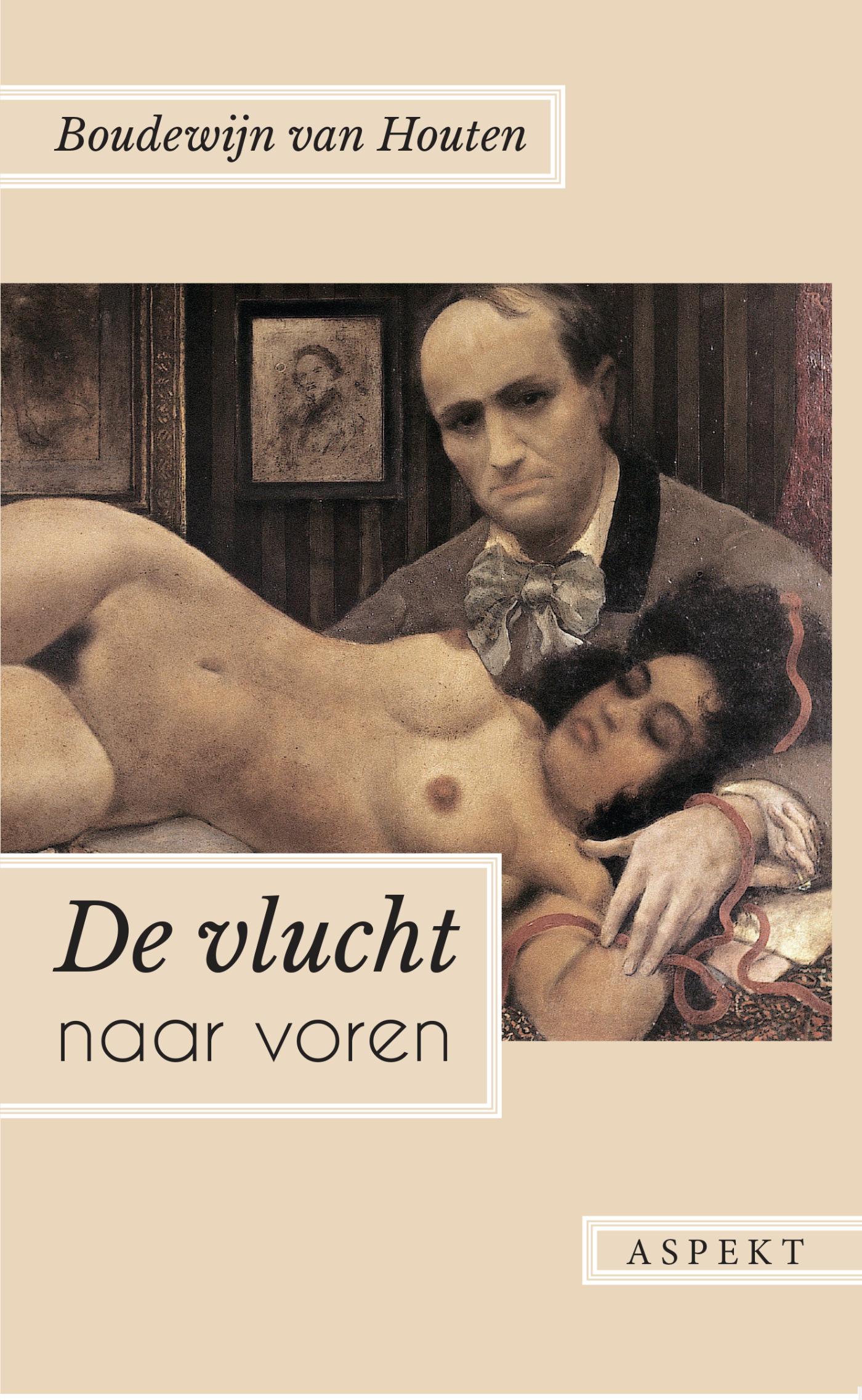 Omslag van De vlucht naar voren