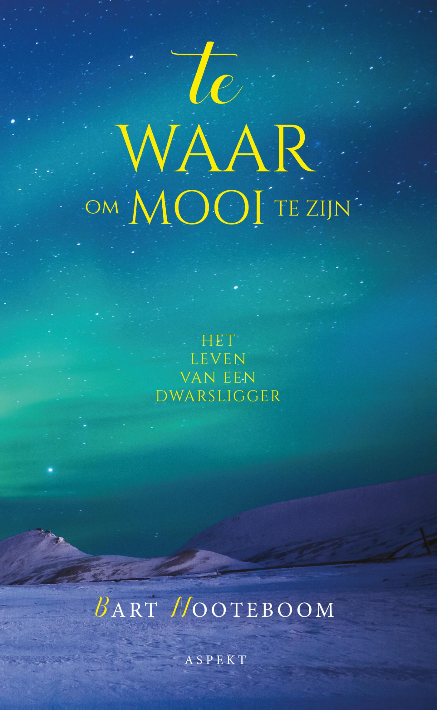Omslag van Te waar om mooi te zijn