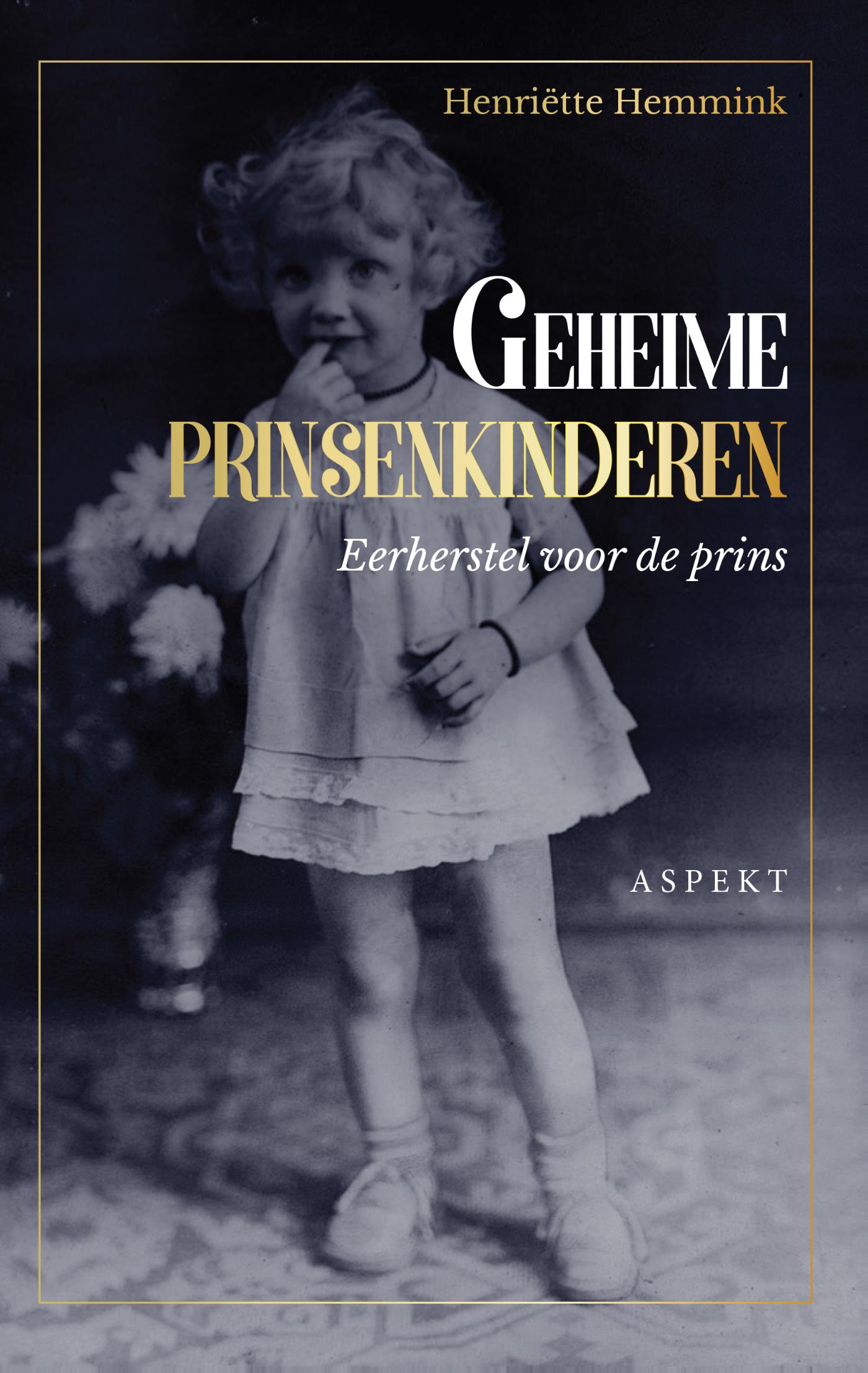 Omslag van Geheime prinsenkinderen
