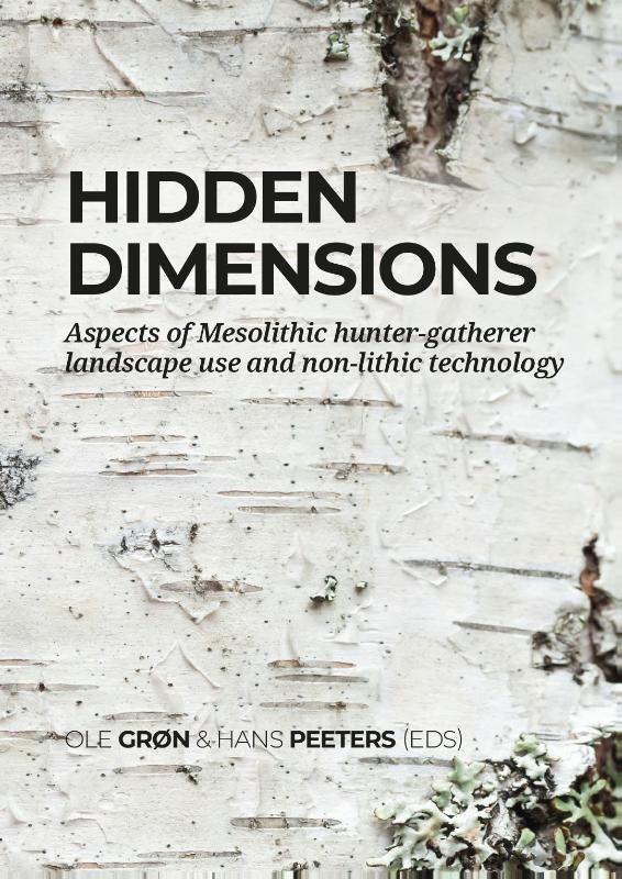 Omslag van Hidden dimensions