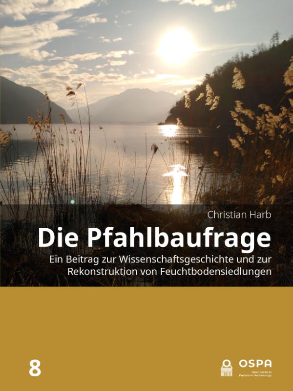 Omslag van Die Pfahlbaufrage