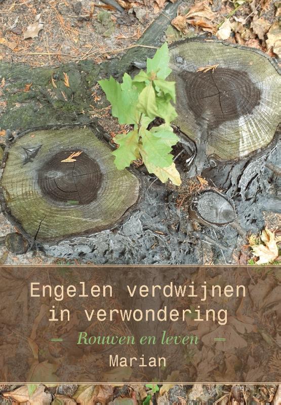 Omslag van Waar engelen verdwijnen in verwondering
