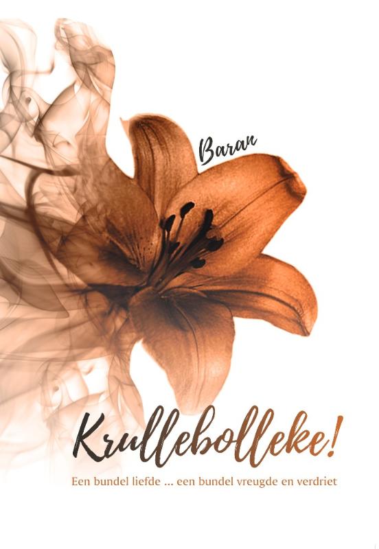Omslag van Krullebolleke!