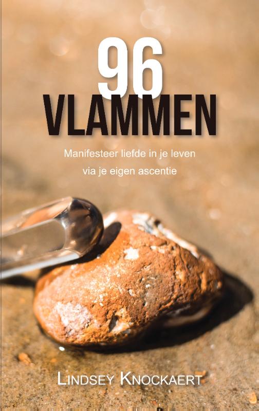 Omslag van 96 Vlammen