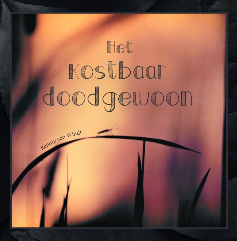 Omslag van Het kostbaar doodgewoon