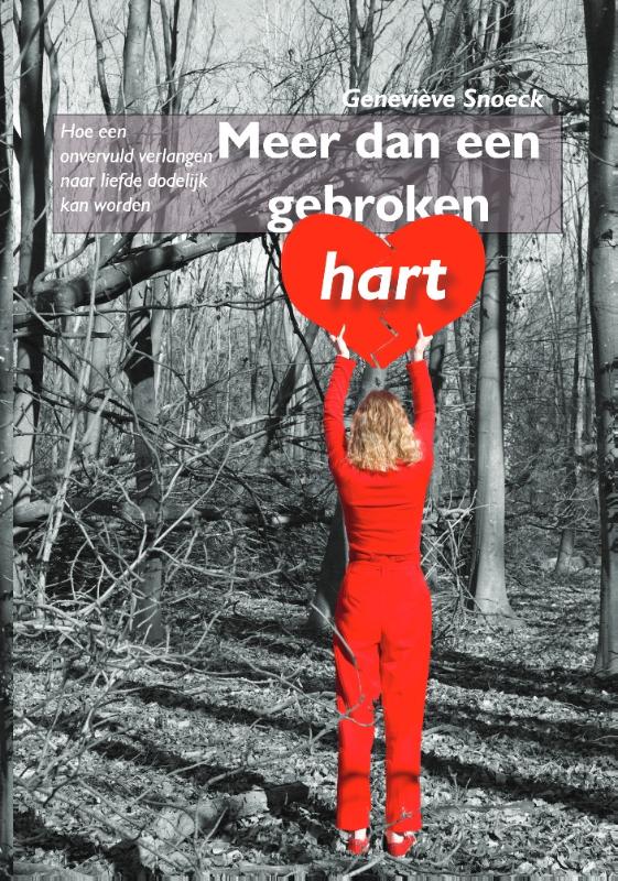 Omslag van Meer dan een gebroken hart