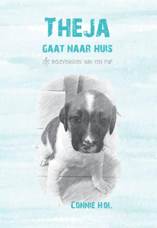 Omslag van Theja gaat naar huis